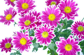 test111 test55