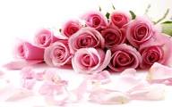 test3 test